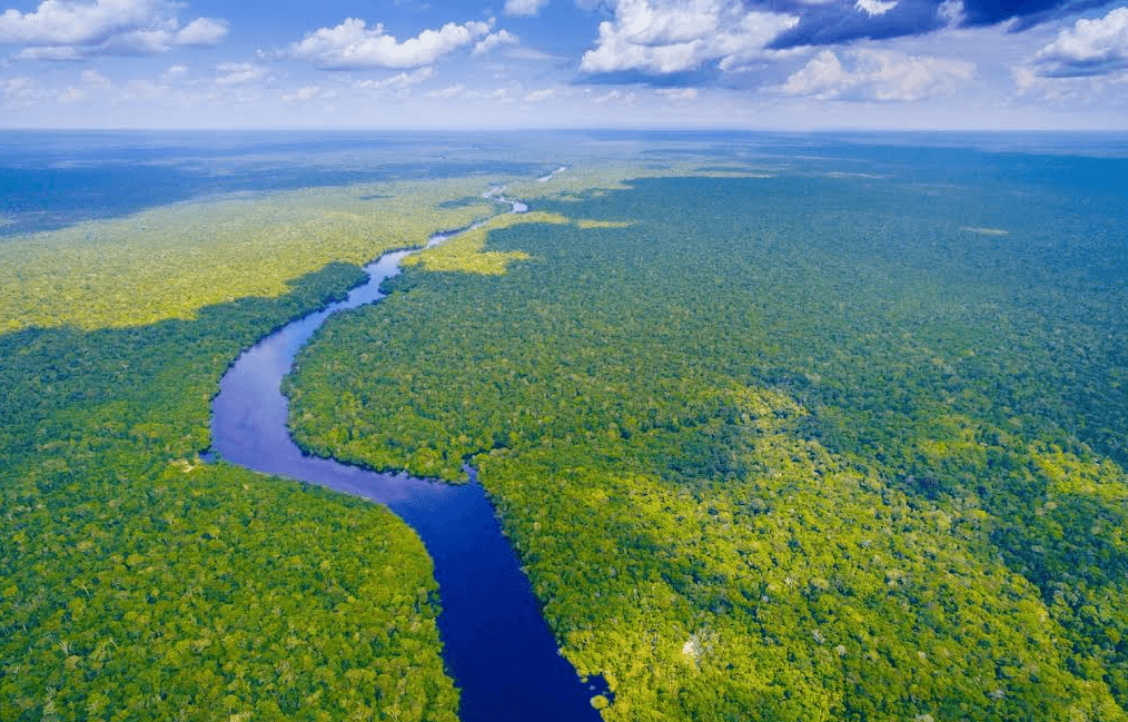 Amazon Rainforest
