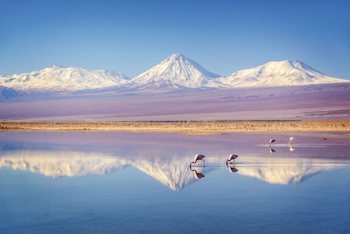 Atacama Desert