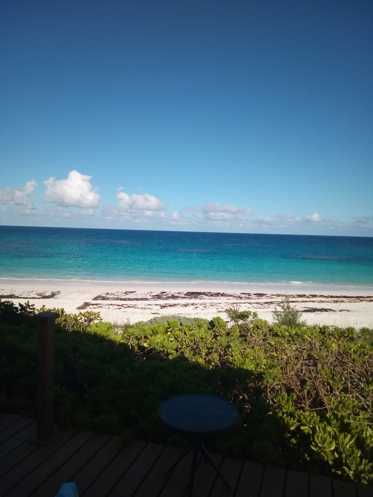 Bahamas (Harbour Island)