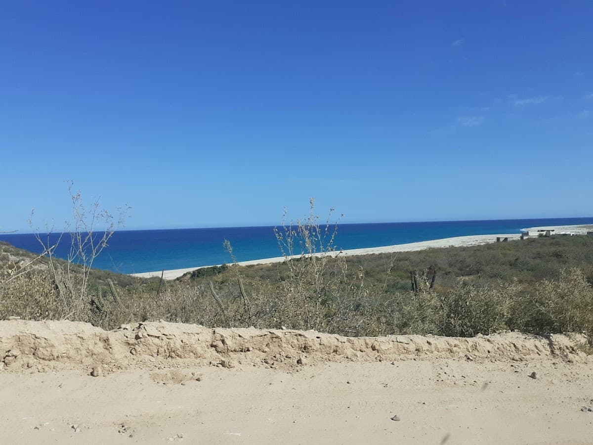 Cabo Pulmo Seafood Restaurant