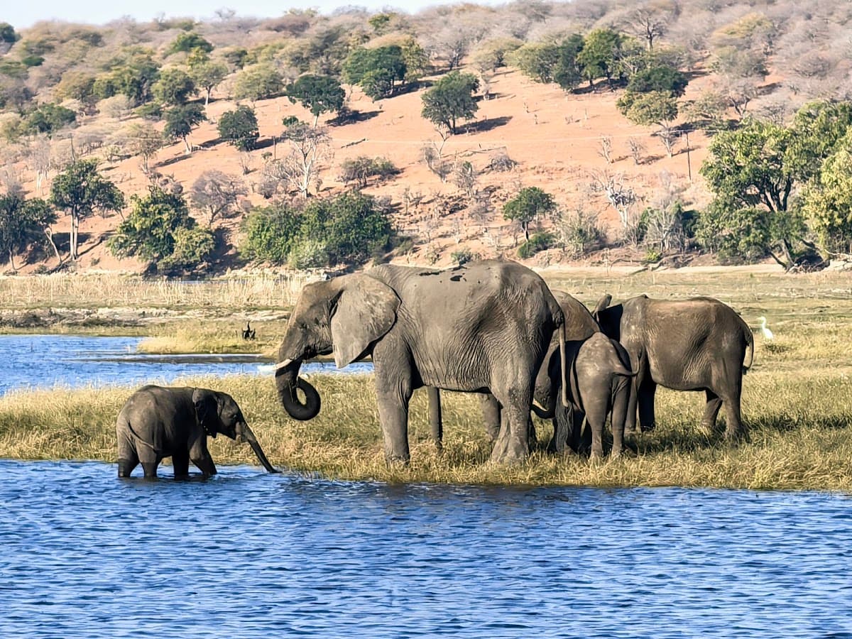 Chobe National Park