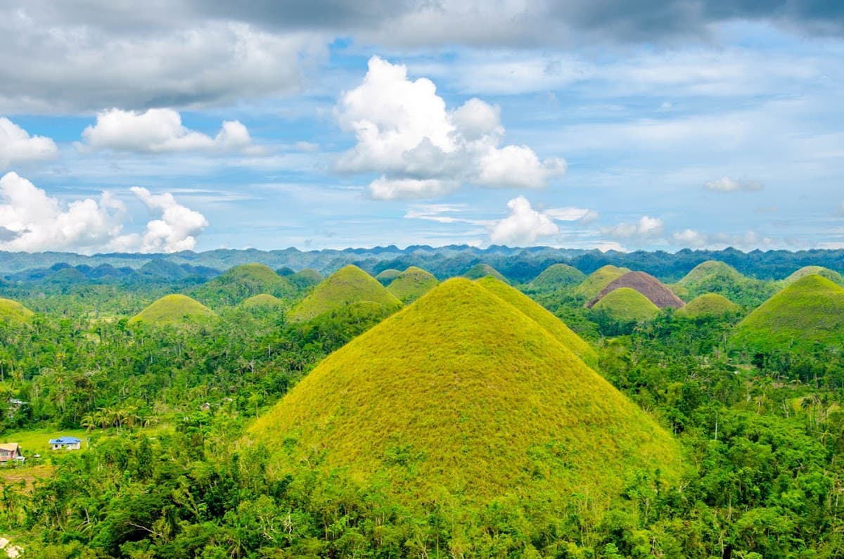 Chocolate Hills