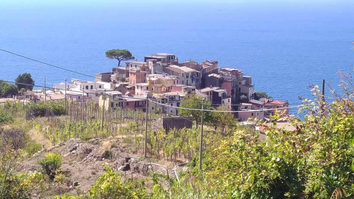 Cinque Terre Region