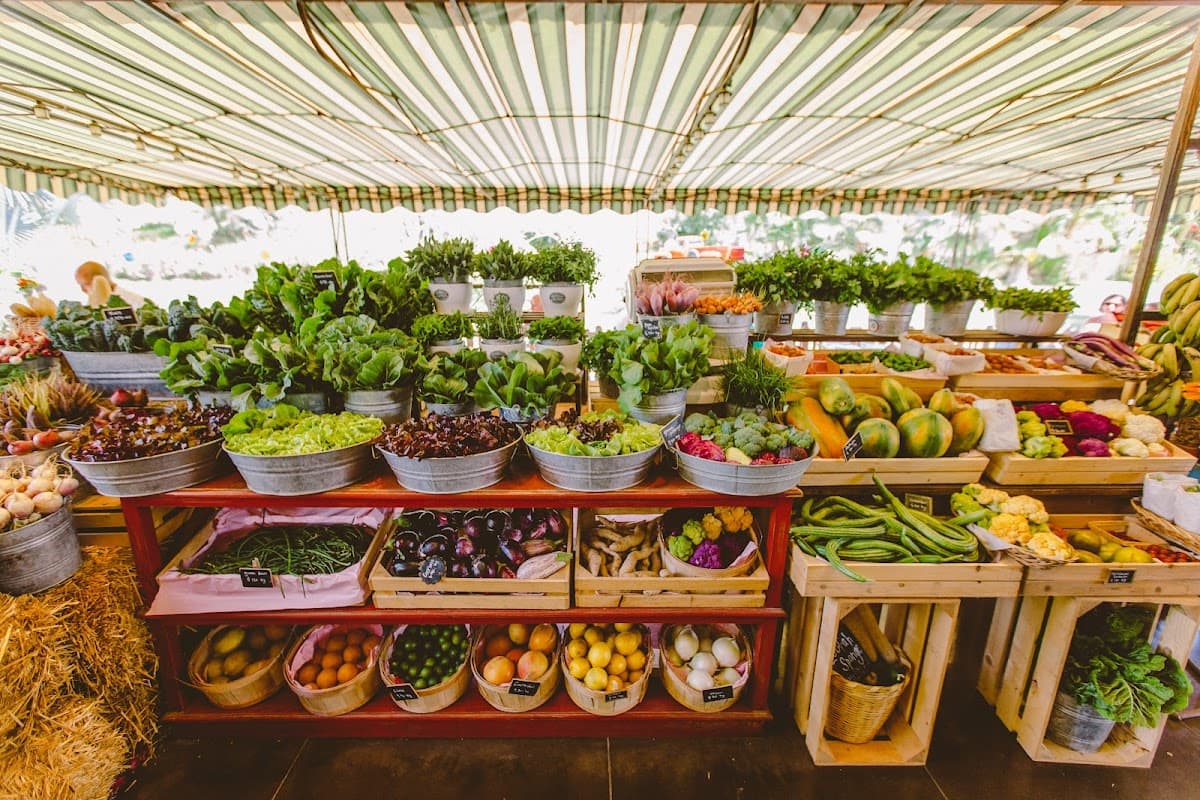 San José del Cabo: Culture, Cuisine & Coastal Charm