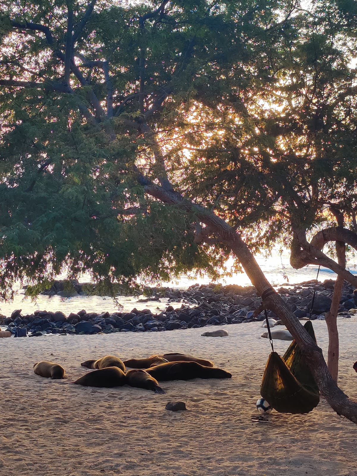 Galápagos Islands
