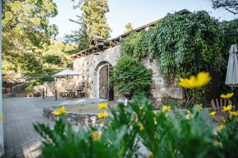 Gundlach Bundschu Winery or Buena Vista Winery