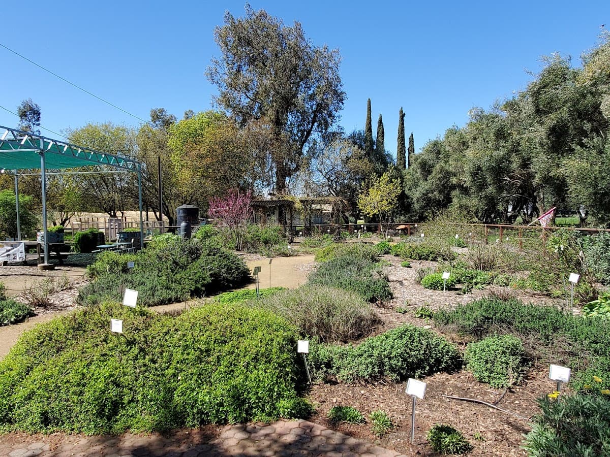 Haagen-Dazs Honey Bee Haven