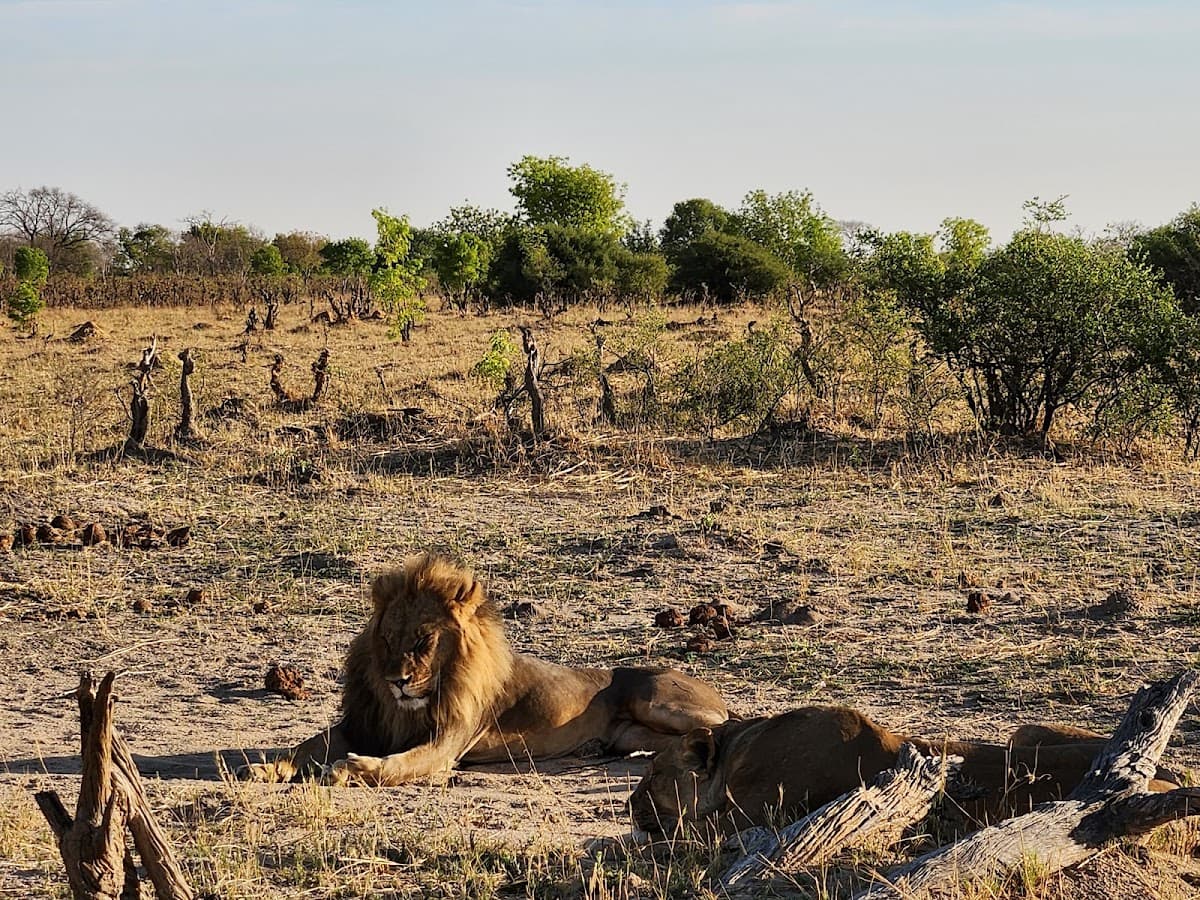 Hwange National Park