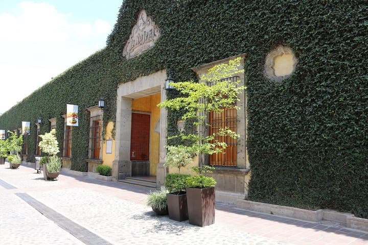 José Cuervo Distillery (Fábrica La Rojeña) Tour