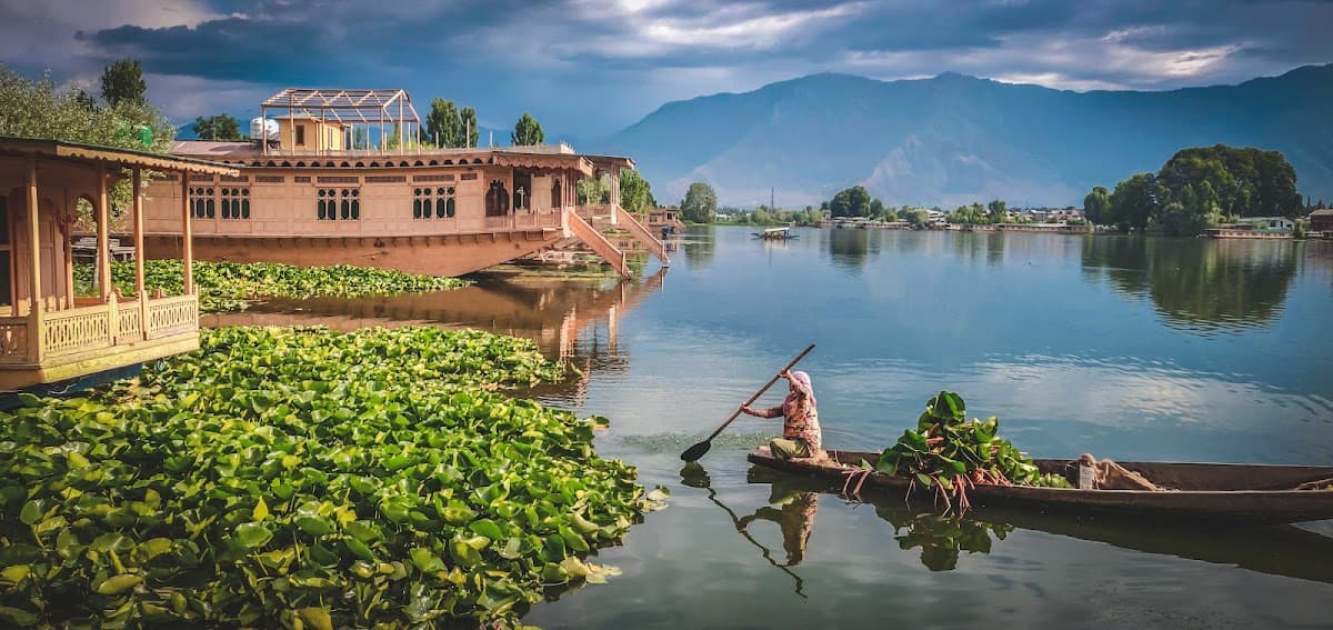 Kashmir