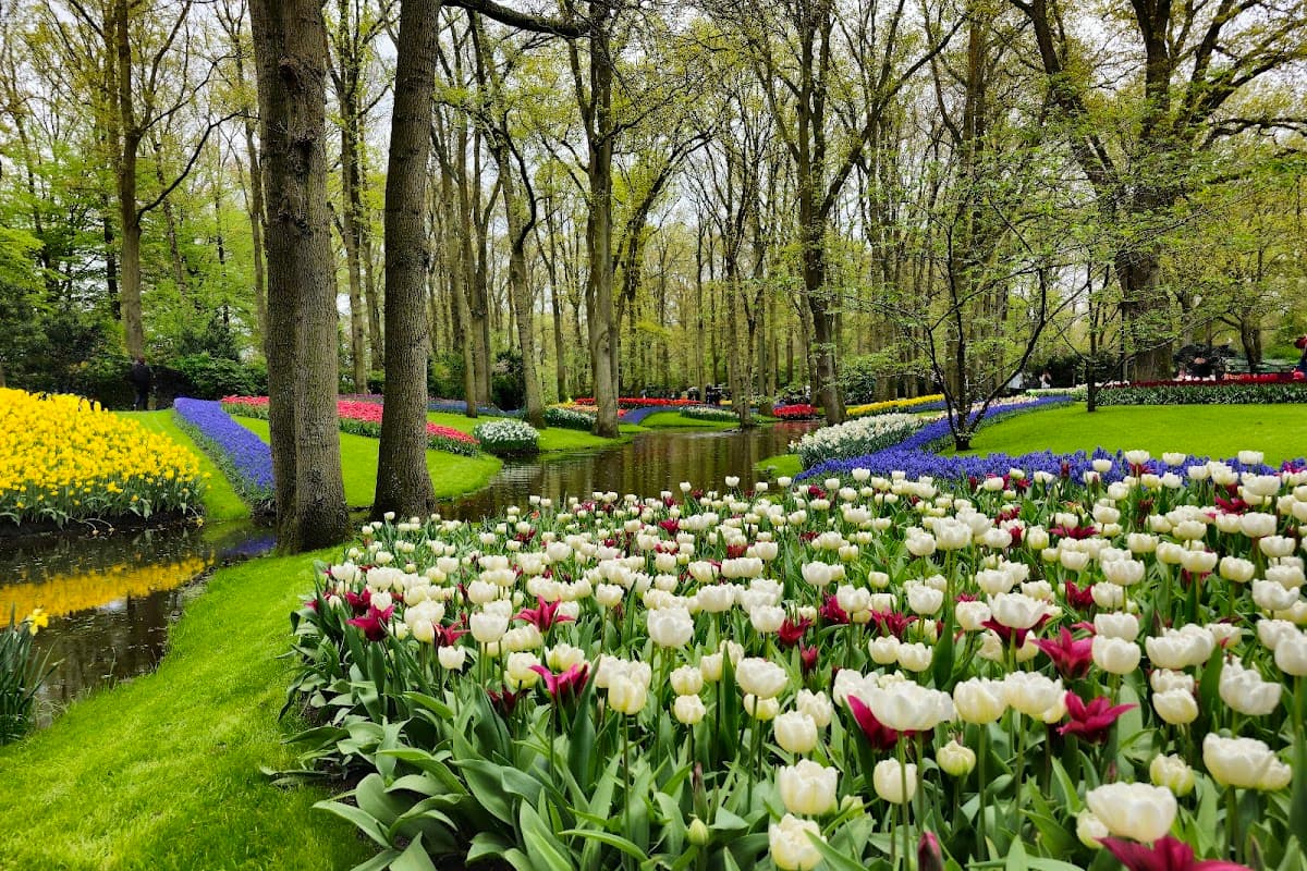 Keukenhof Gardens