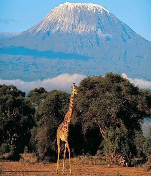 Kilimanjaro National Park