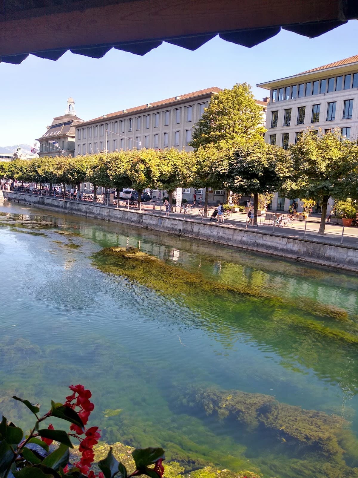 Lucerne