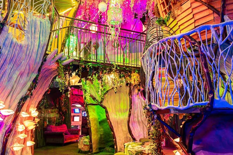 Meow Wolf's House of Eternal Return