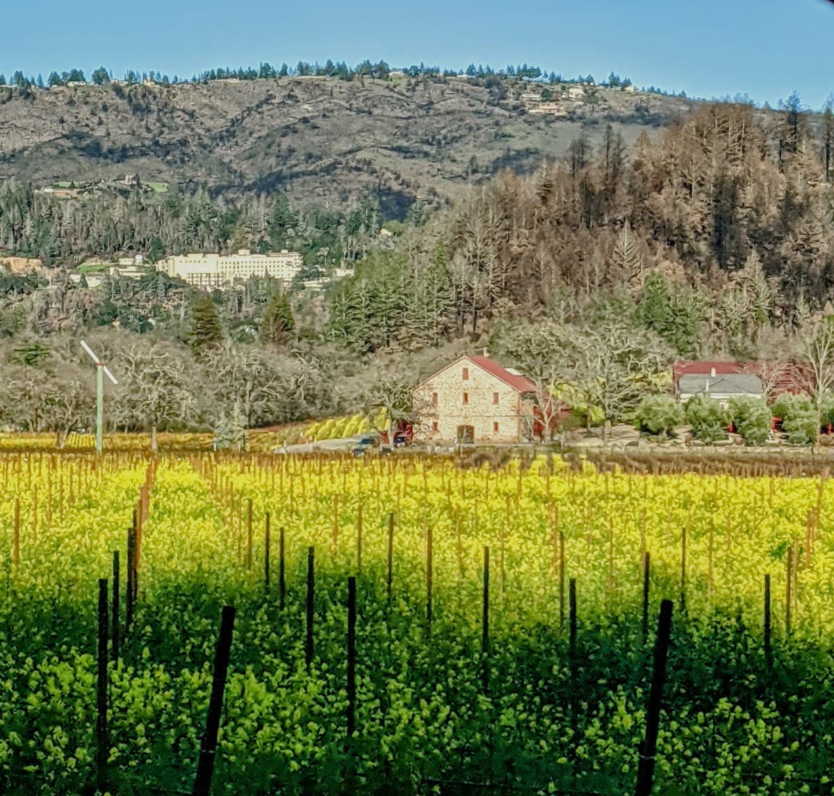 Napa Valley