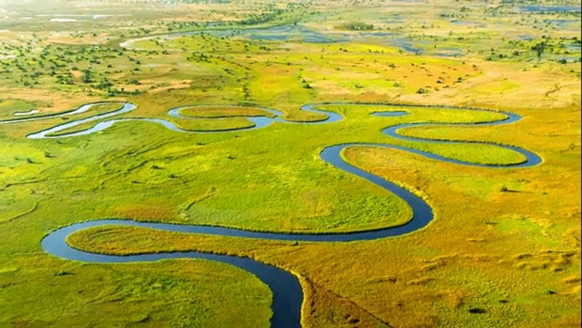 Okavango Delta