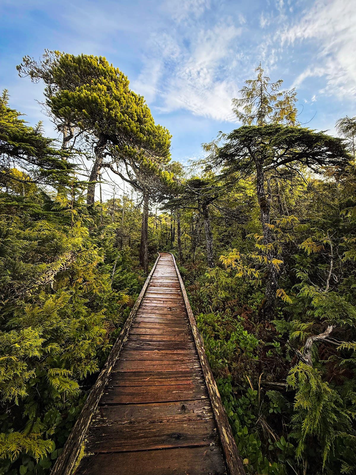 Pacific Rim National Park