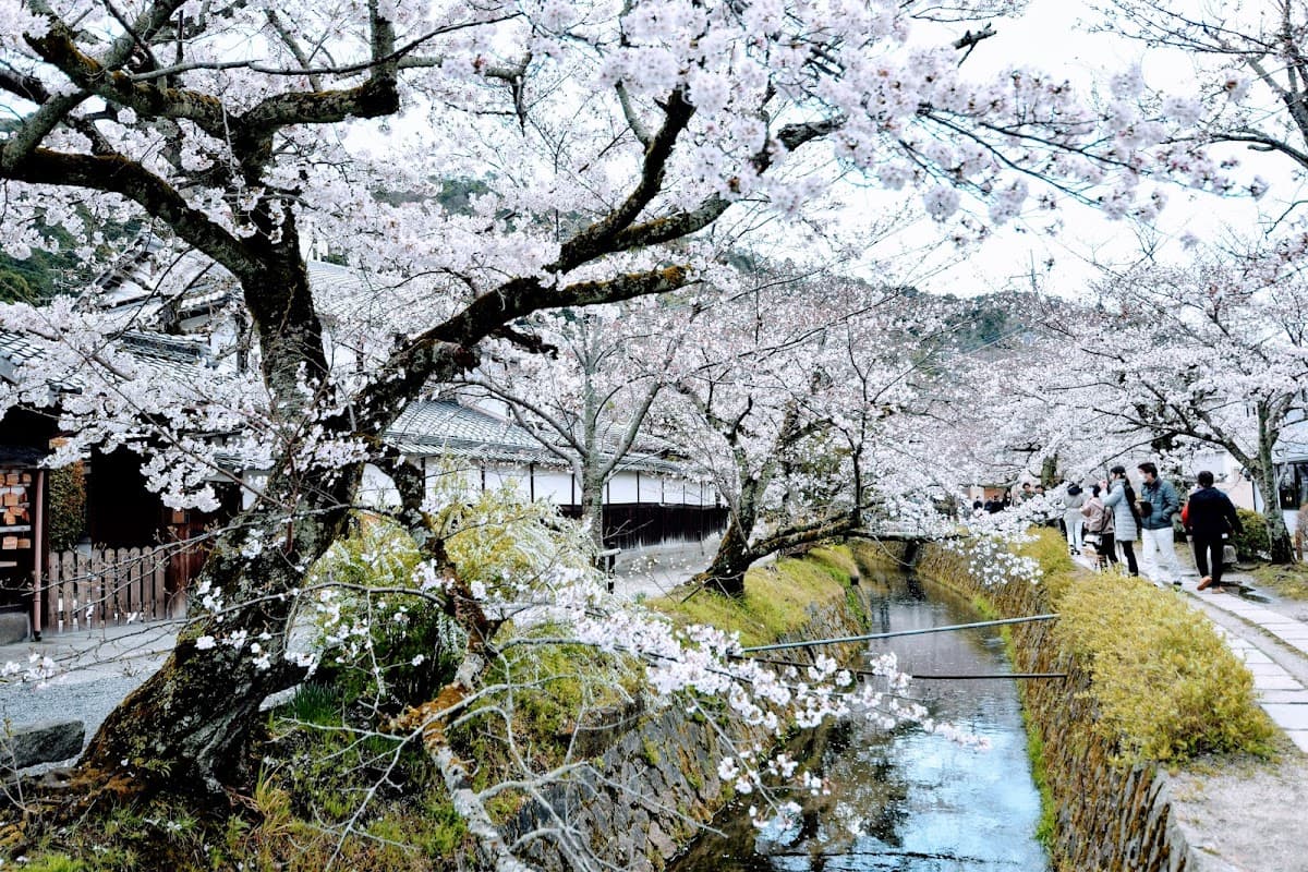 Philosopher's Path Private Stroll