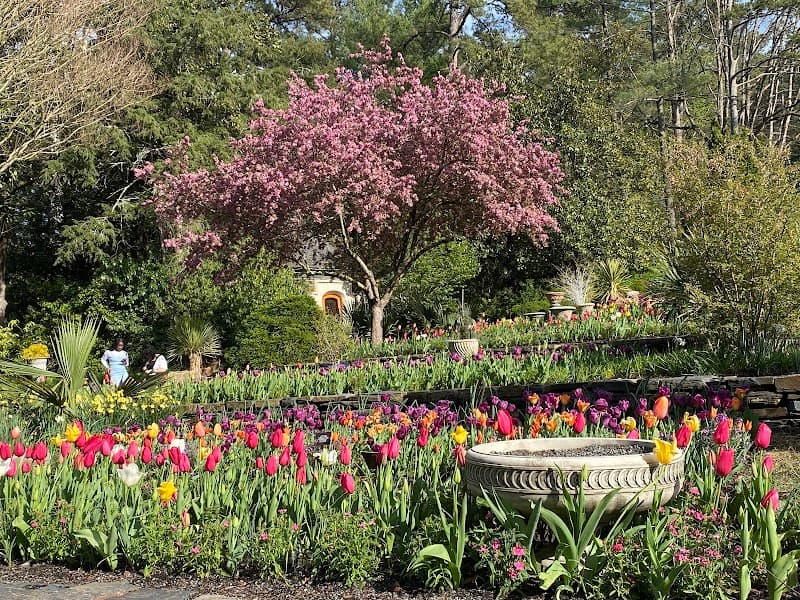 Durham Love on a Budget: Free Gardens, Science, and Lemurs