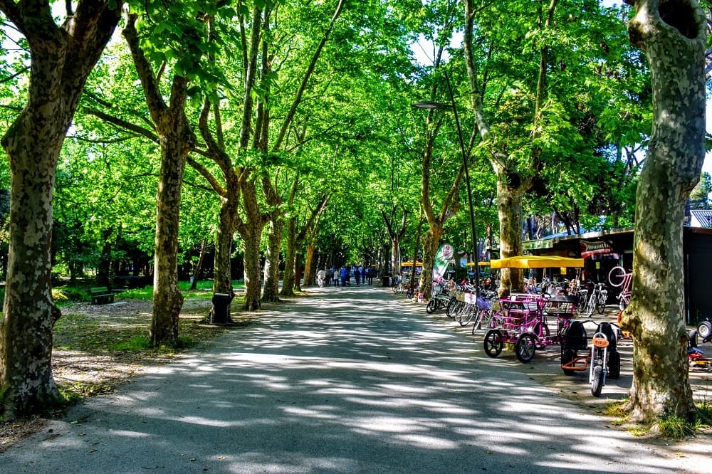 Pineta di Ponente (Parco Pineta di Ponente)