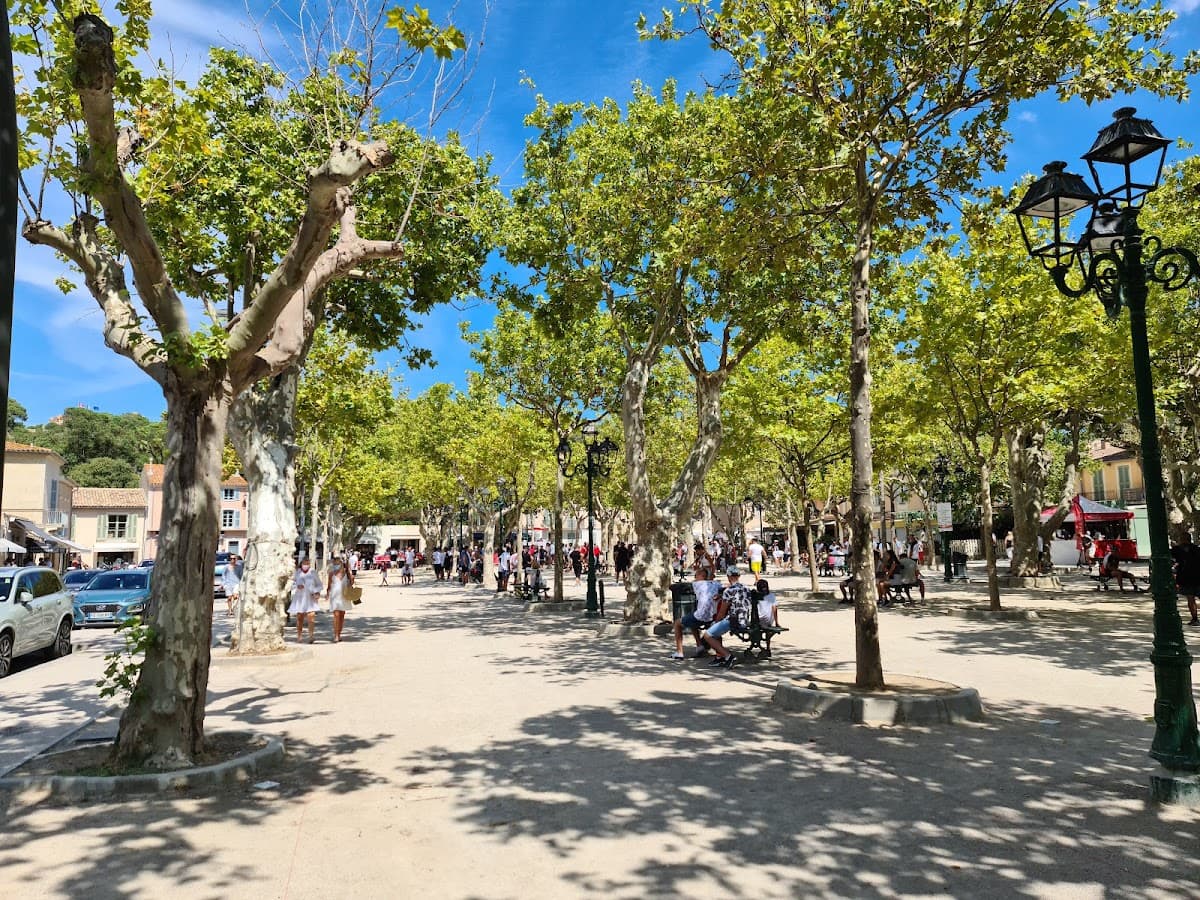Place des Lices Market (Marché de Saint-Tropez)