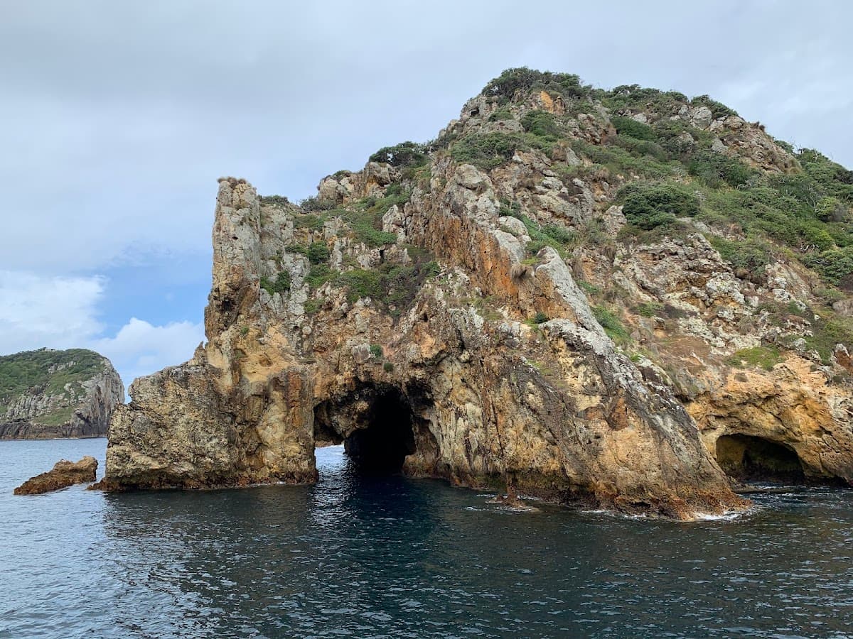 Poor Knights Islands