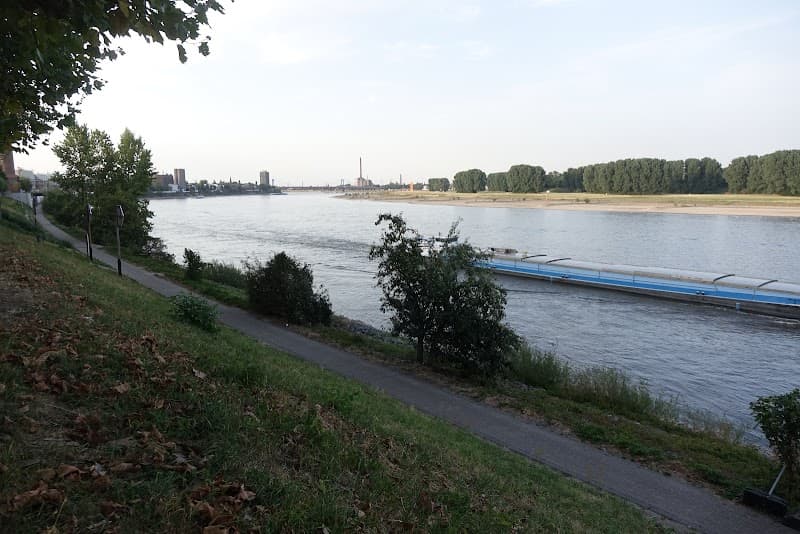 Rhine River Private Cruise