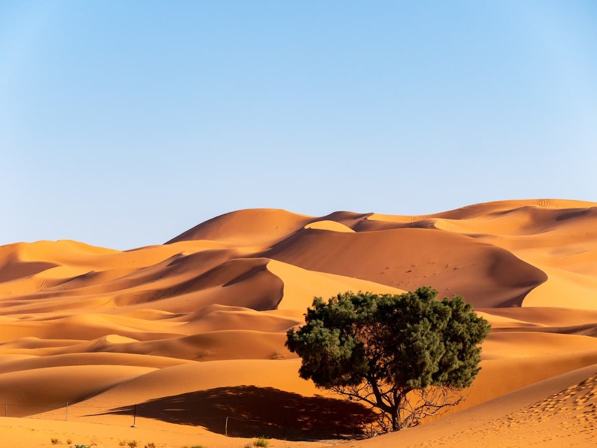 Sahara (Erg Chebbi)