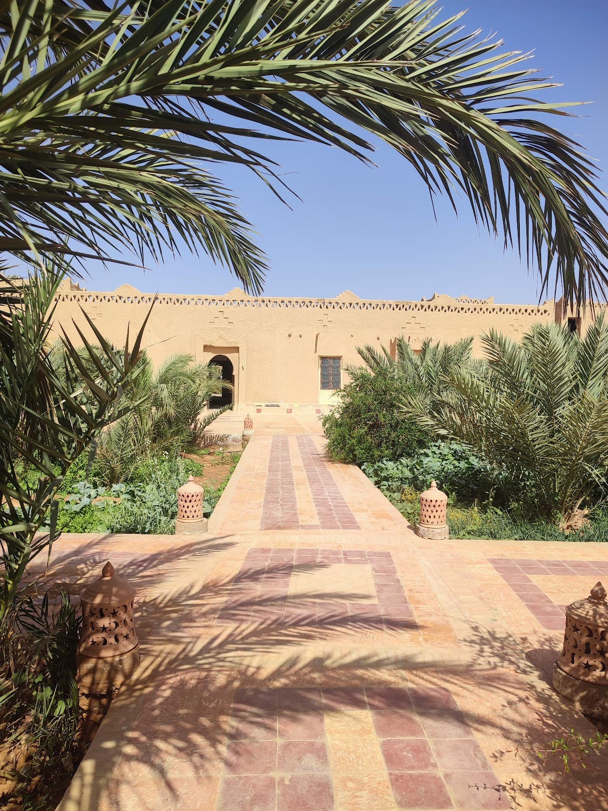 Sahara (Merzouga)