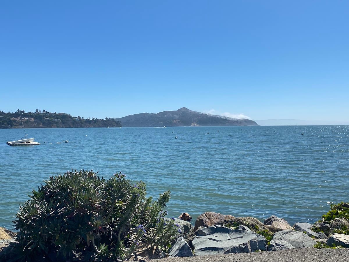 Sausalito Boardwalk and Downtown Boutiques