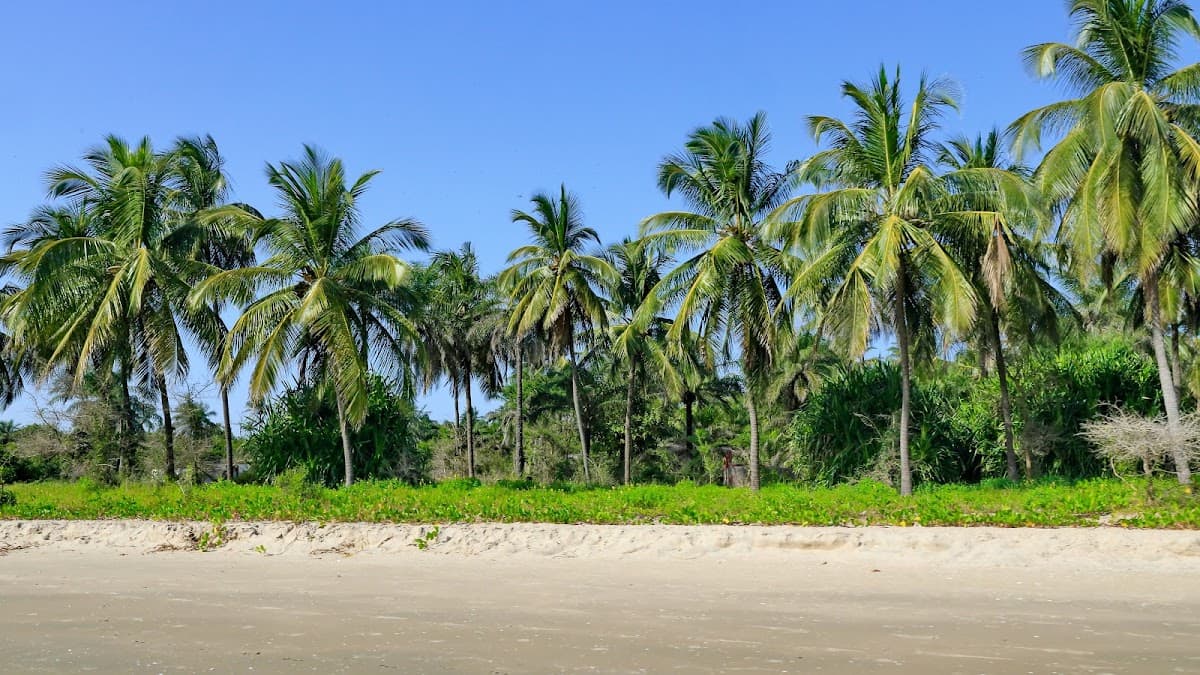Senegal