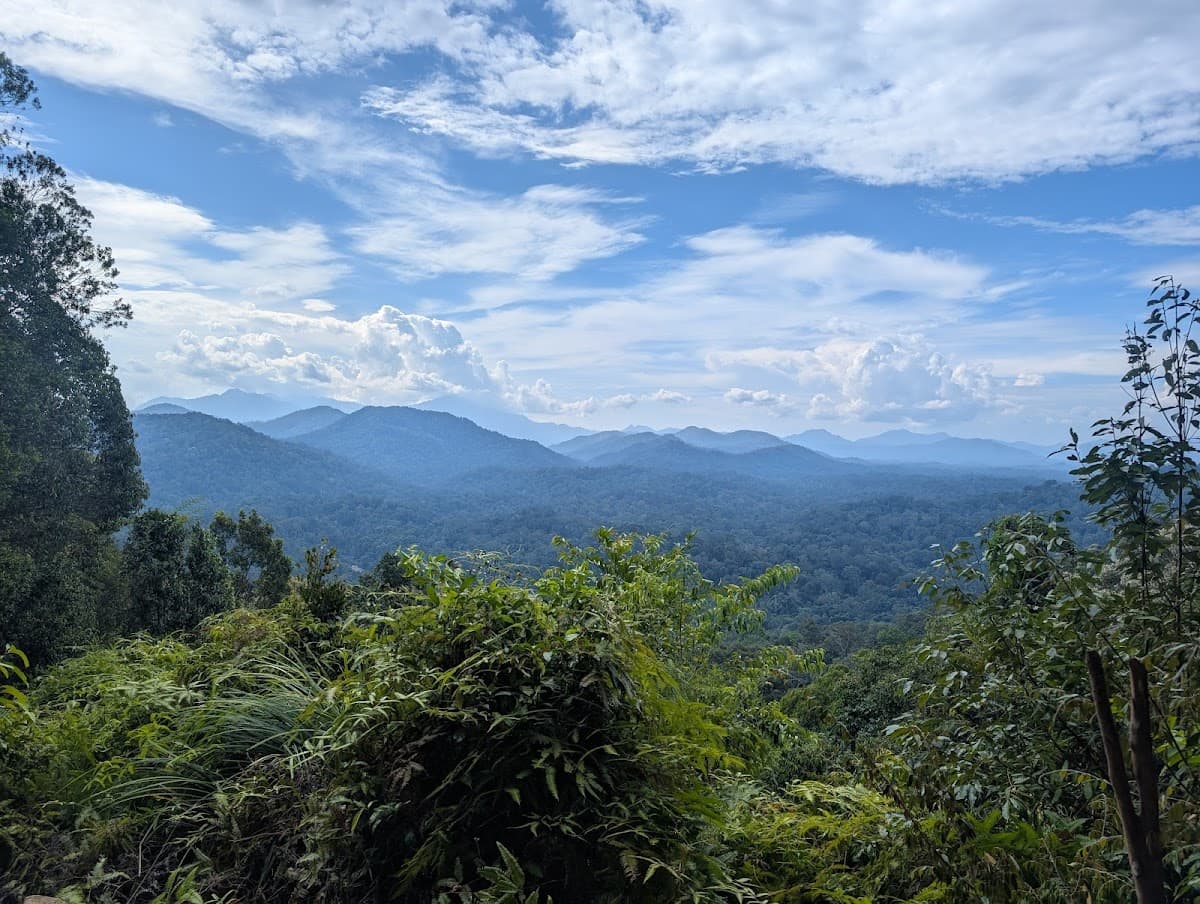Taman Negara