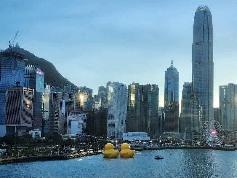 Victoria Harbour Cruise