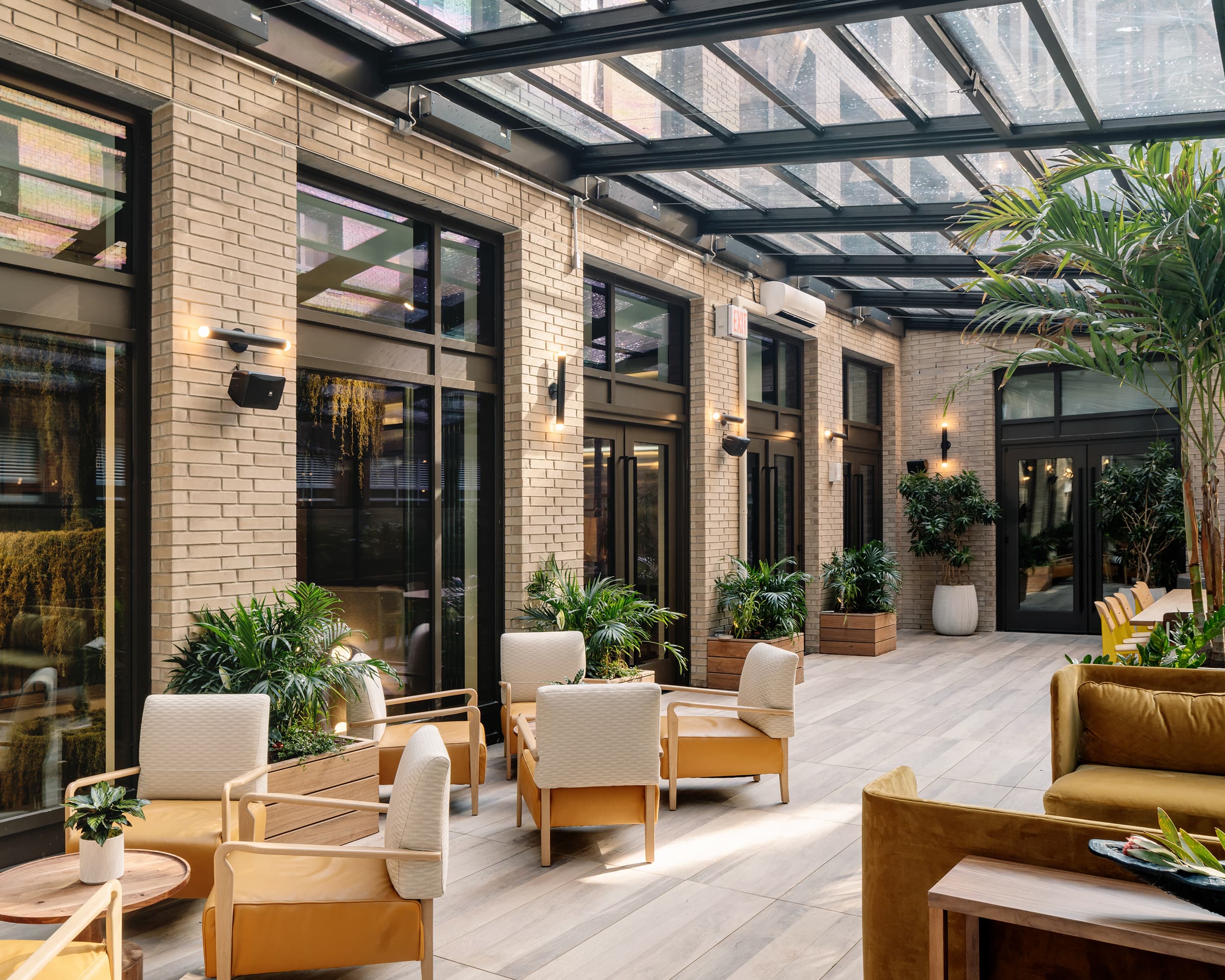 Terrace King