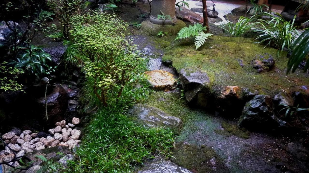 Izuyasu