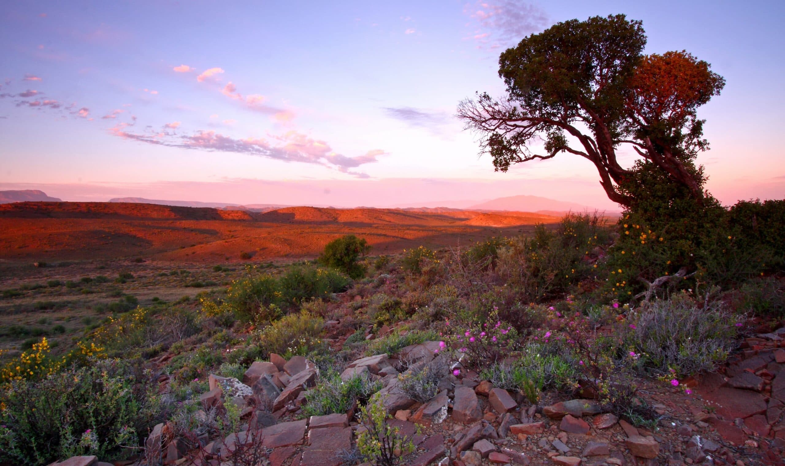 Sanbona