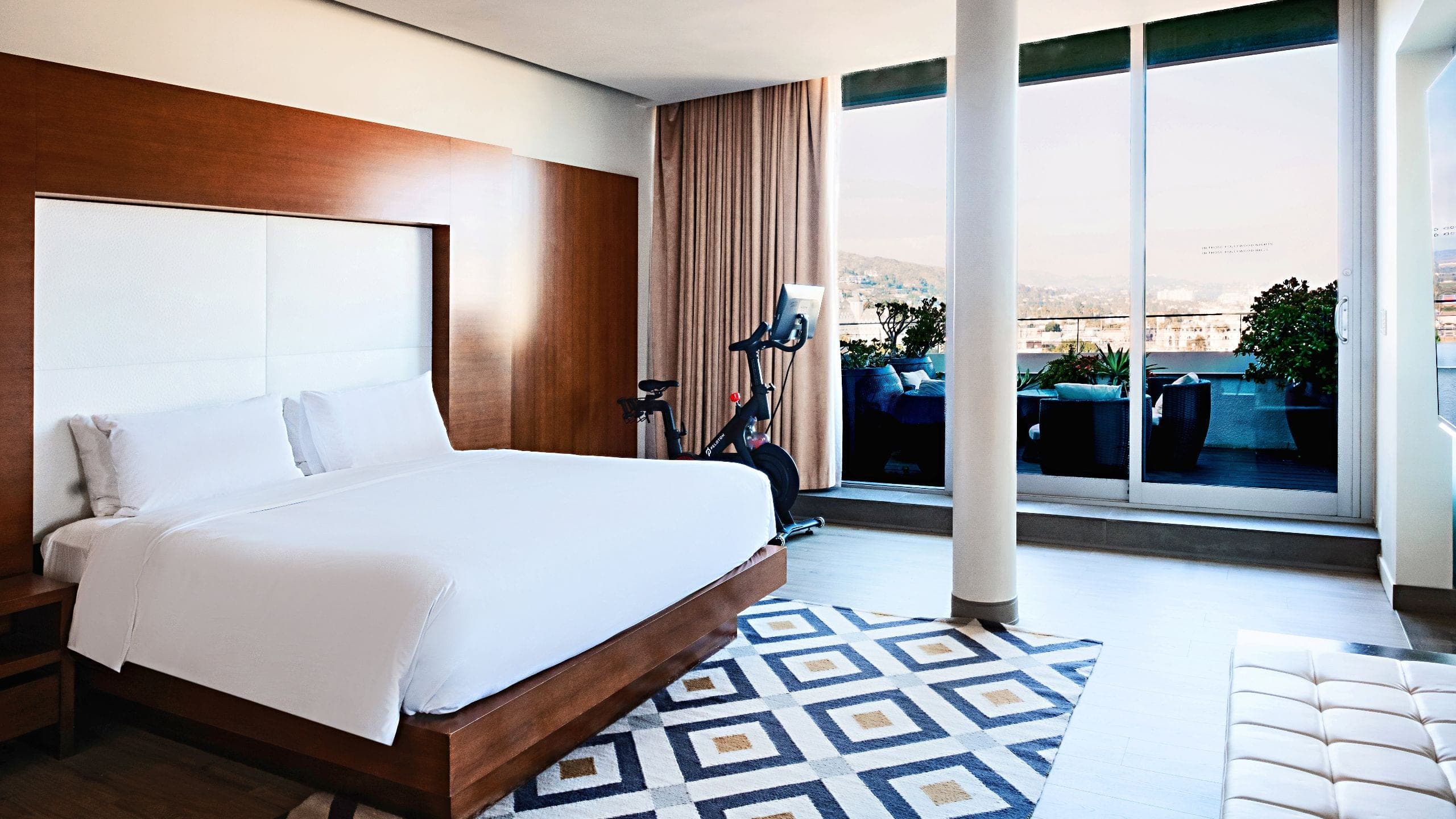 1 King Bed