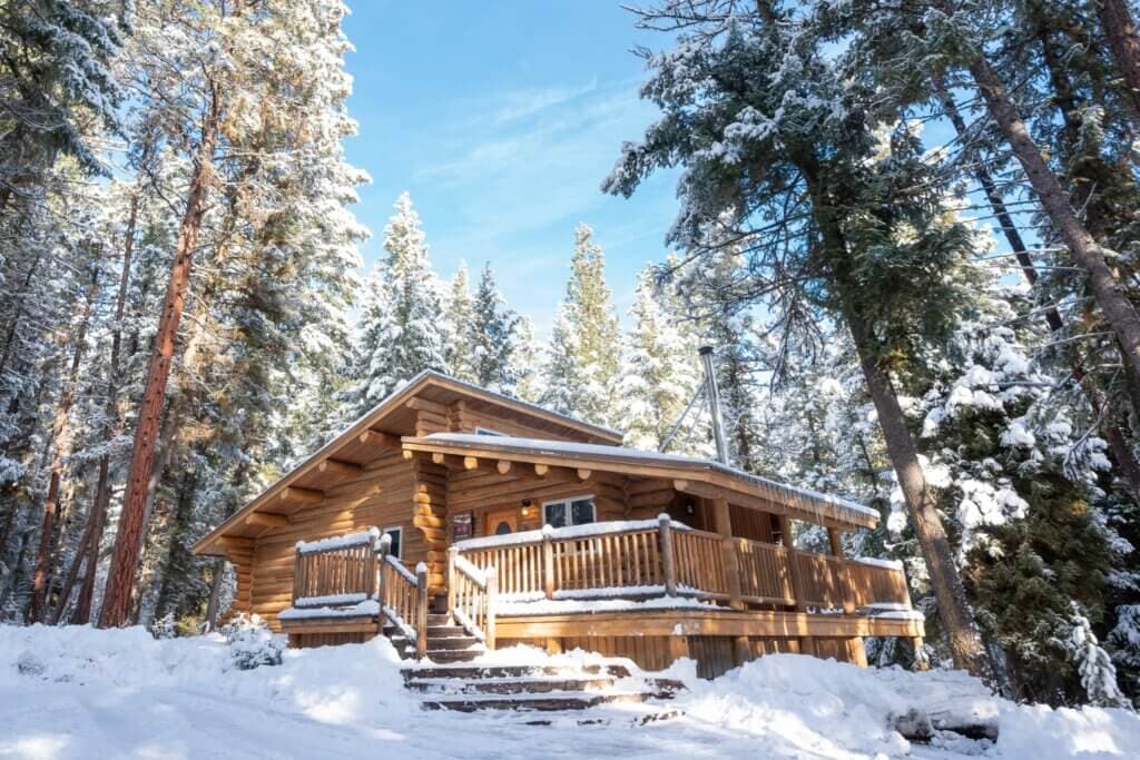 One-Bedroom Luxury Cabins