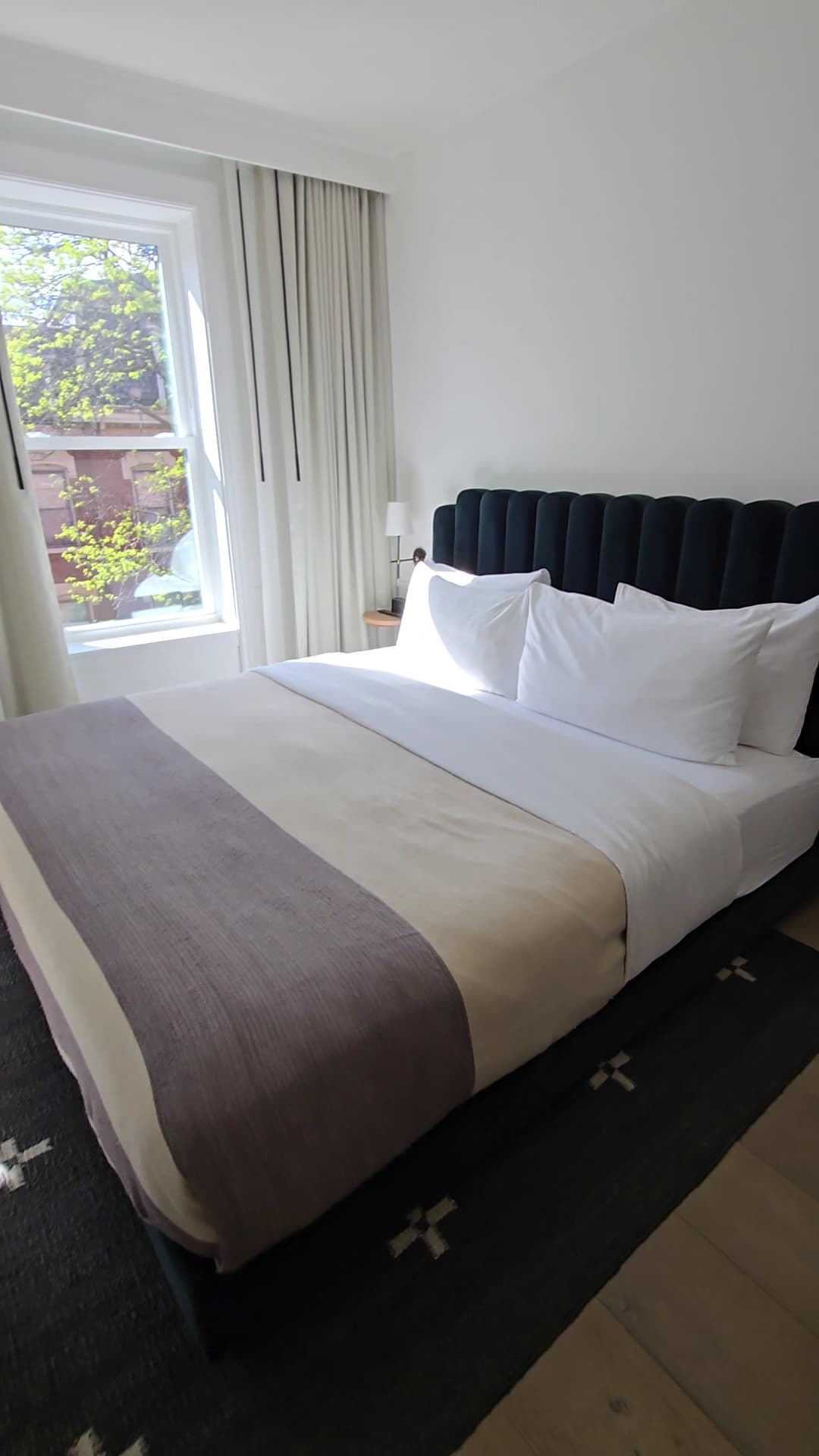 Evangeline Suite