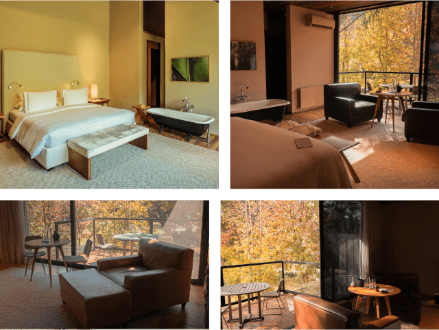 Panorama Suite
