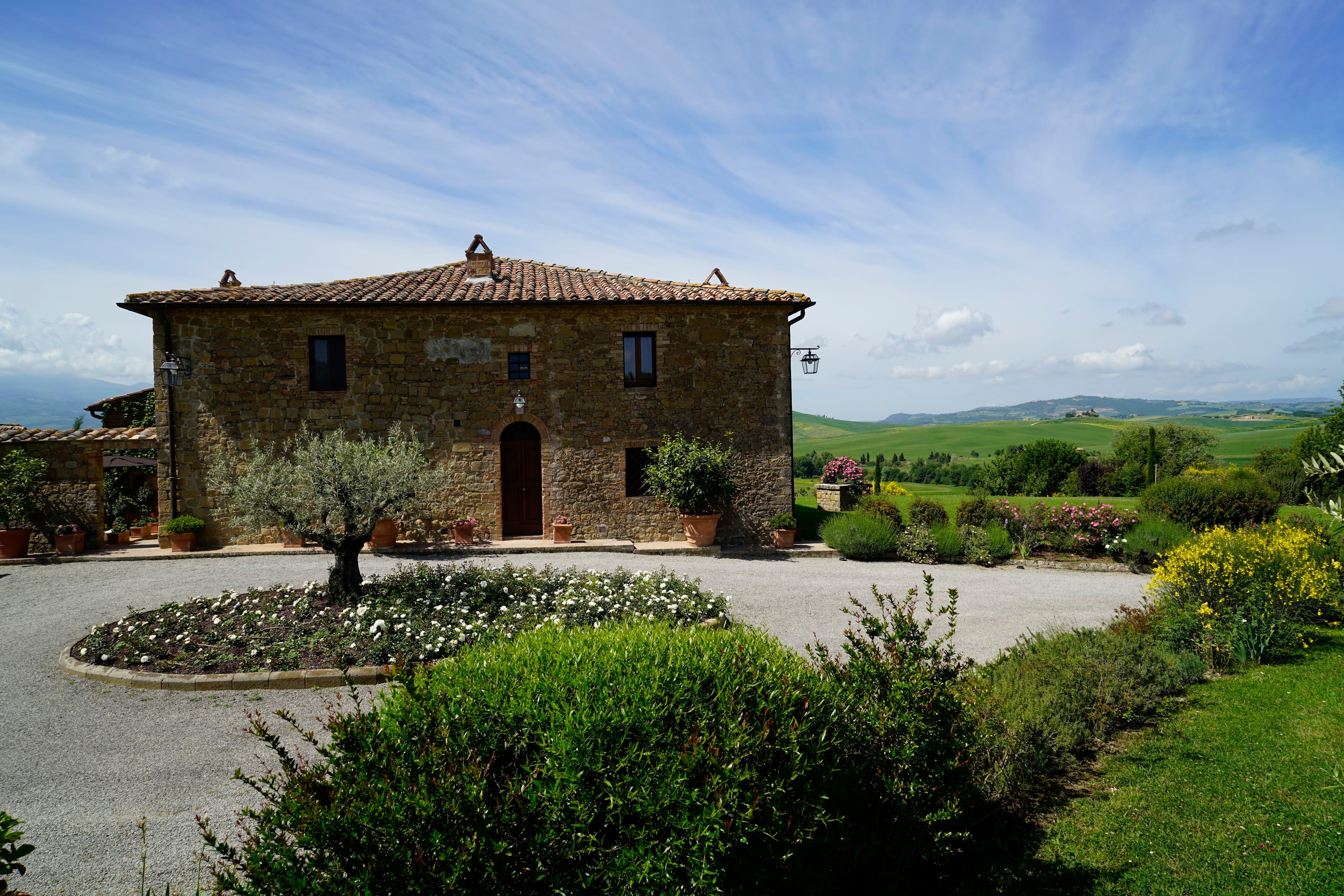 L'Olmo