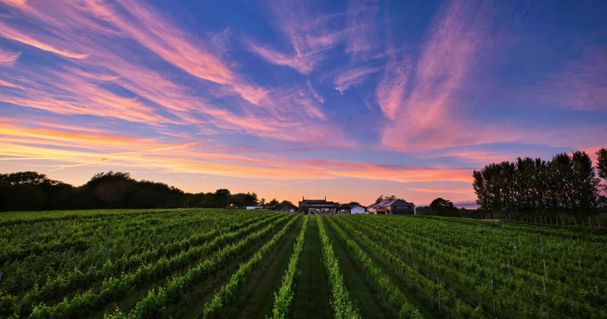 Llanerch Vineyard Hotel