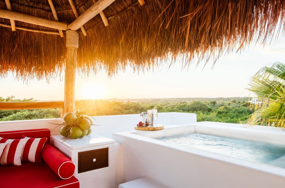 Master Jungle Suite