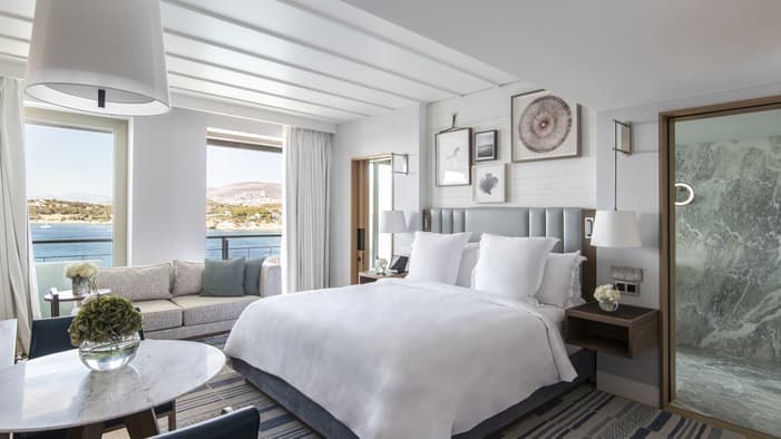 Arion Pine-View Executive Suite