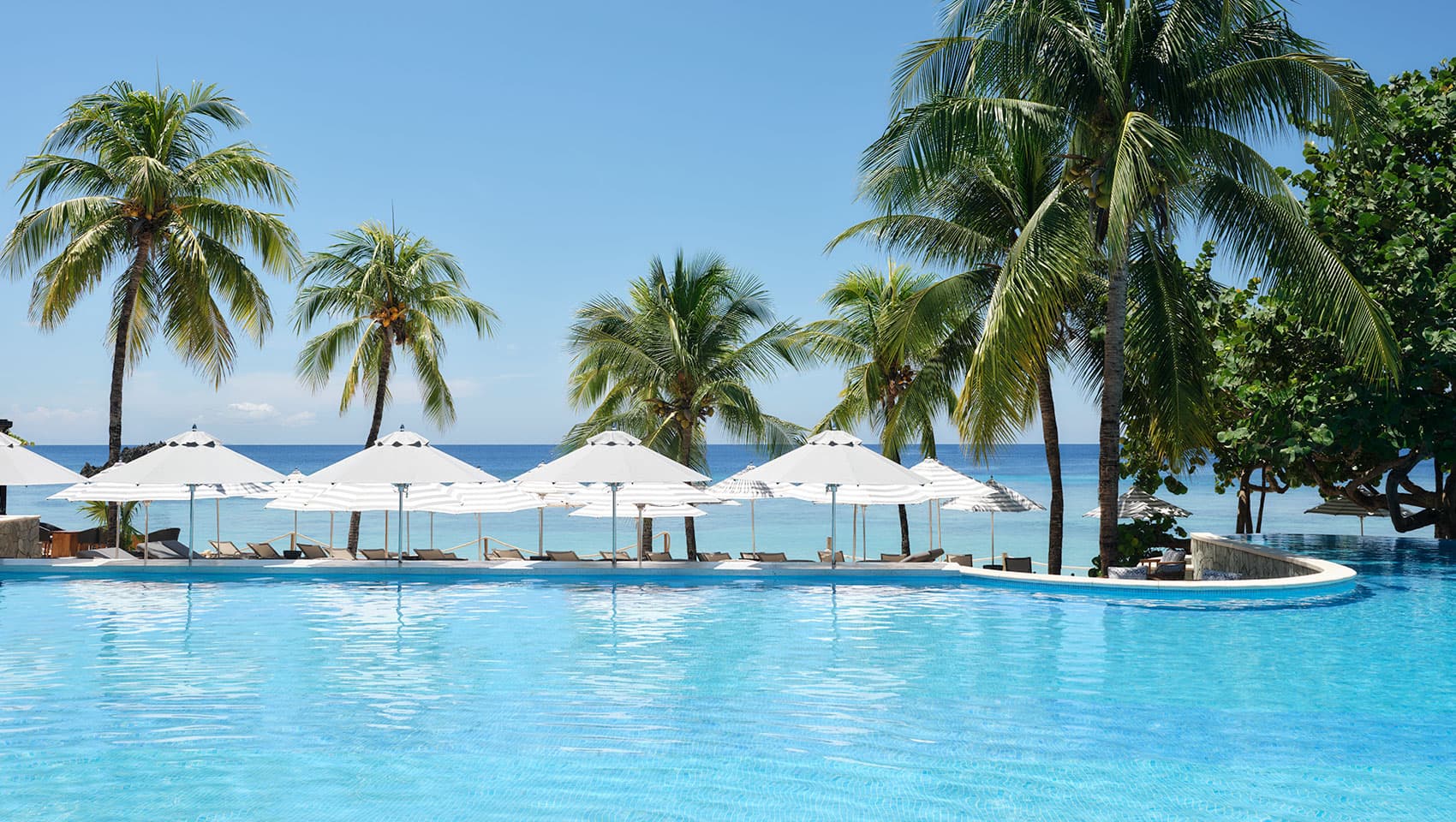 1 King Premium Private Plunge Pool