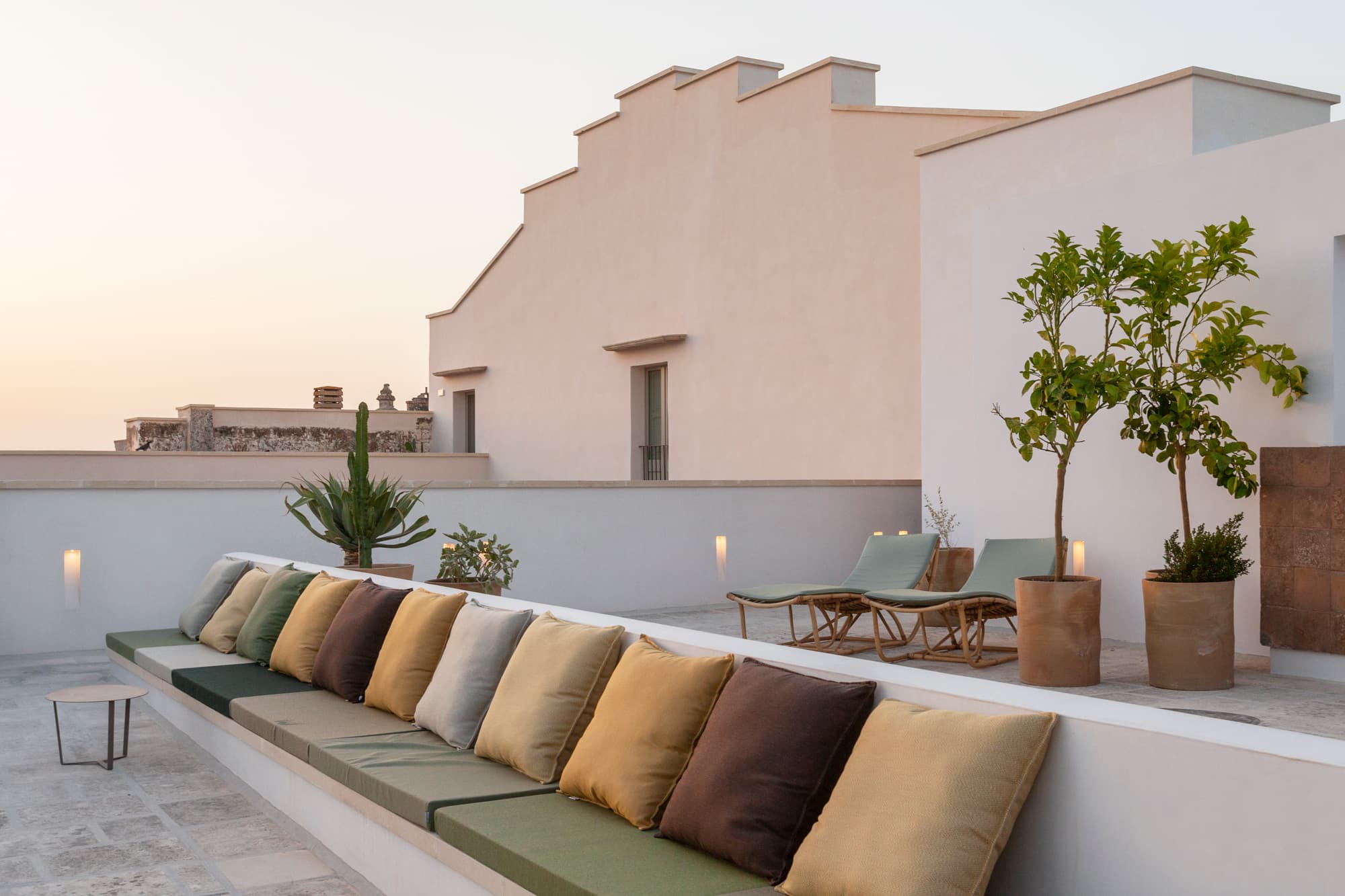 The Cica Revoluta Suite