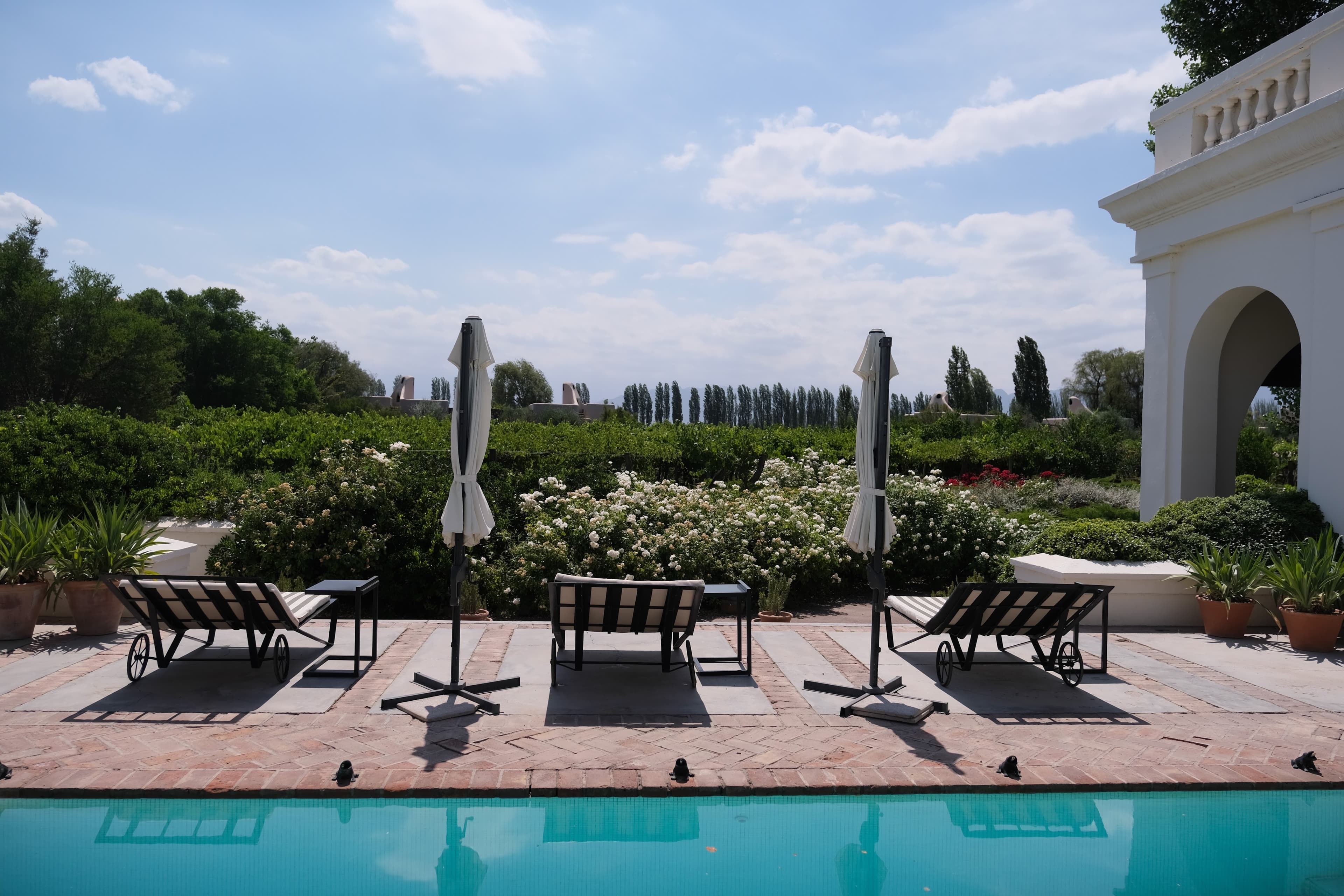 Vineyard Villa