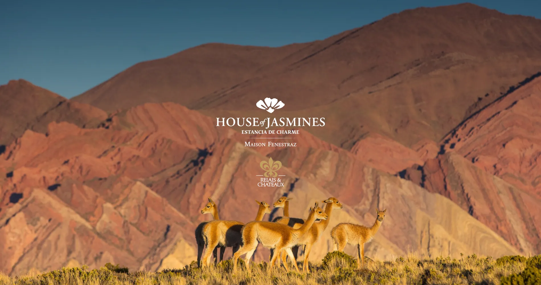 House of Jasmines