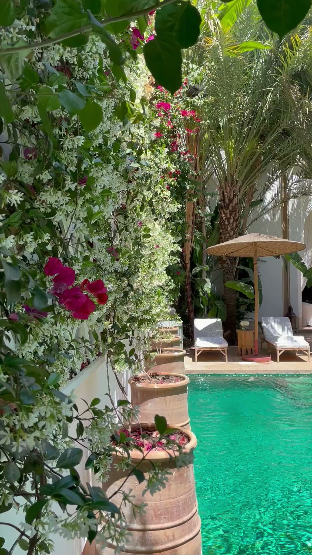 Asilah Suite