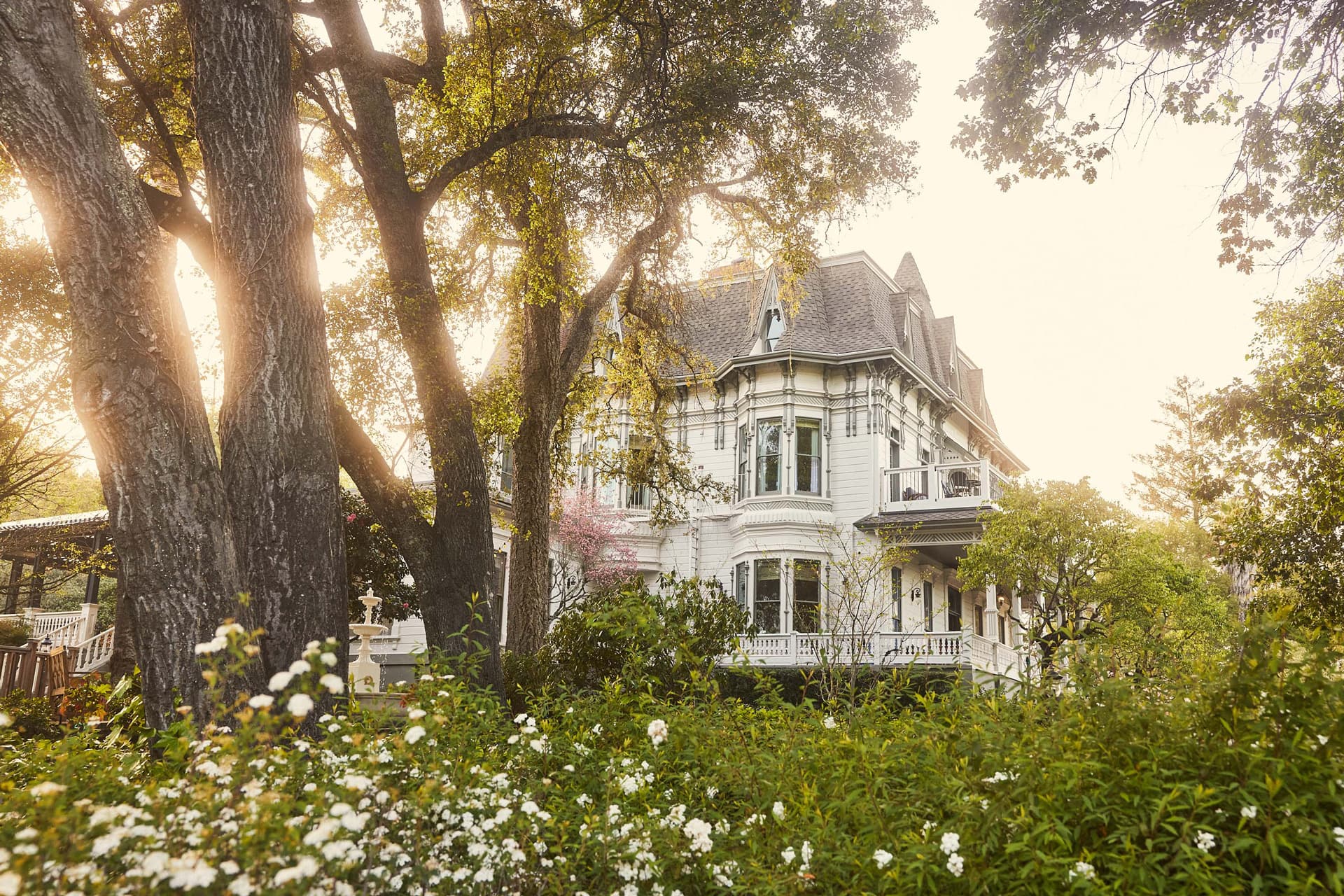 The Madrona